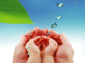 2_201504021023201hFL4