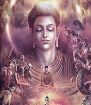 50970003p7nrnr55oro1