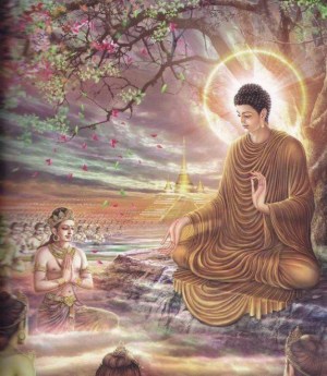 50990000q78pos25715s