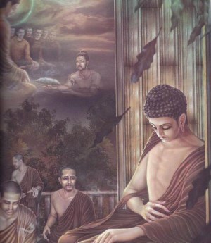 50990000q7q17o049o2s