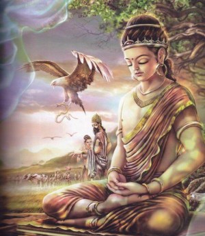 509n0000o22480r6318r