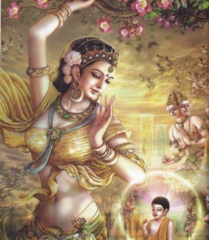 509p00005n2qr72o163q