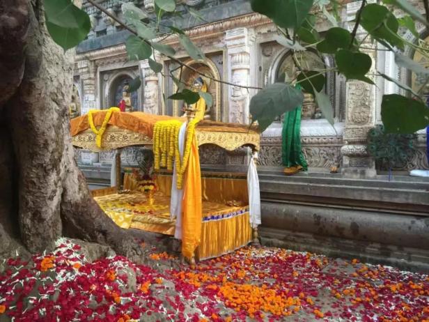 WeChat 圖片_20200208174129