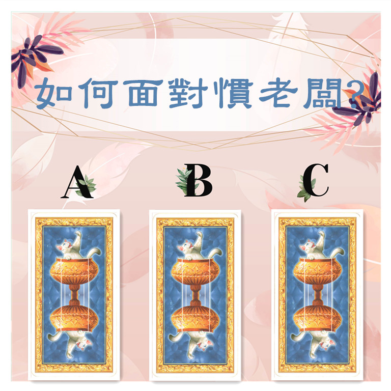 807870181200e6a342501343570ae6a_副本