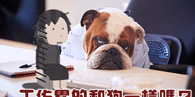 看元辰宮_換工作