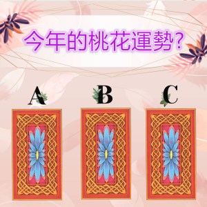 2358a6792a251b8fc34ffbf887976a6_副本