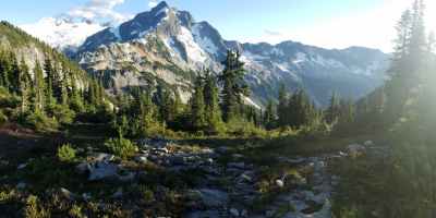green forest near mountain range under clear sky