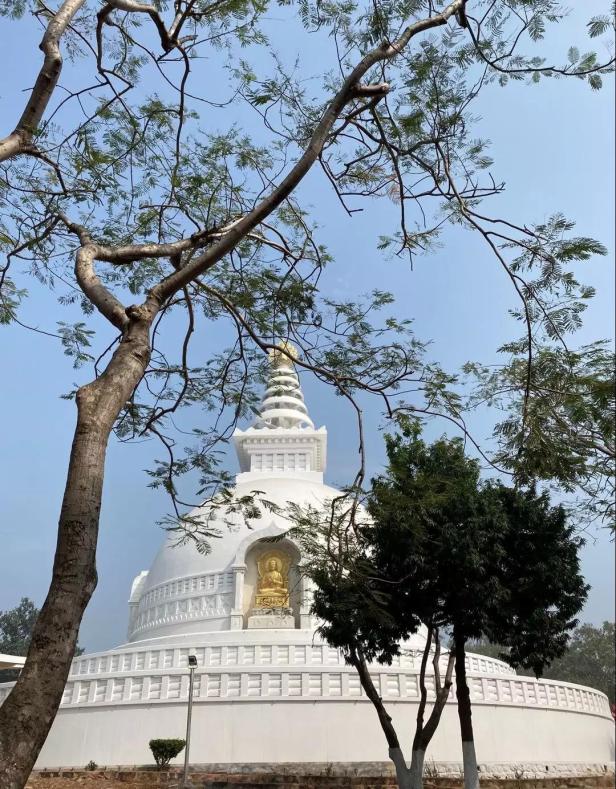 WeChat 圖片_20200208174136