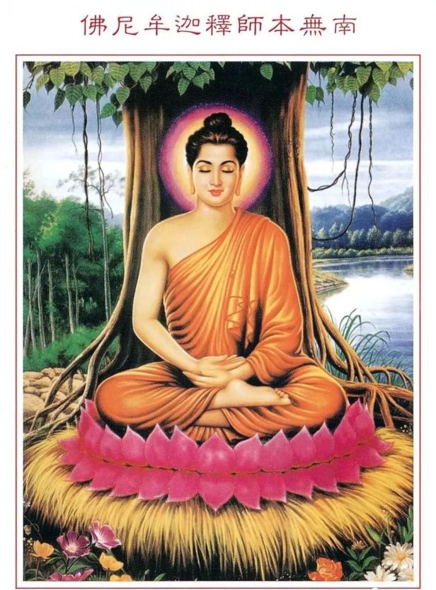 0d3511e196254c18a0bc9cb8f6930bf6