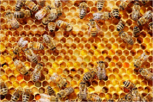 WeChat截圖_20200322181444